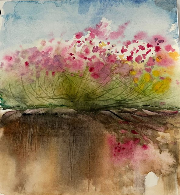 Flowers On A Sidewalk