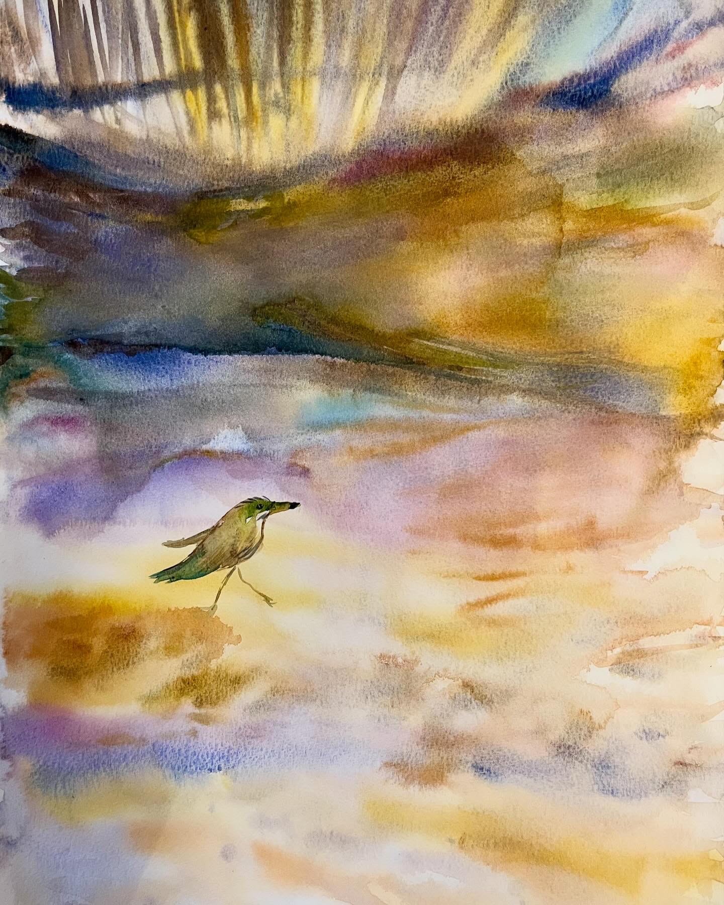 The Little Birdie, 2024