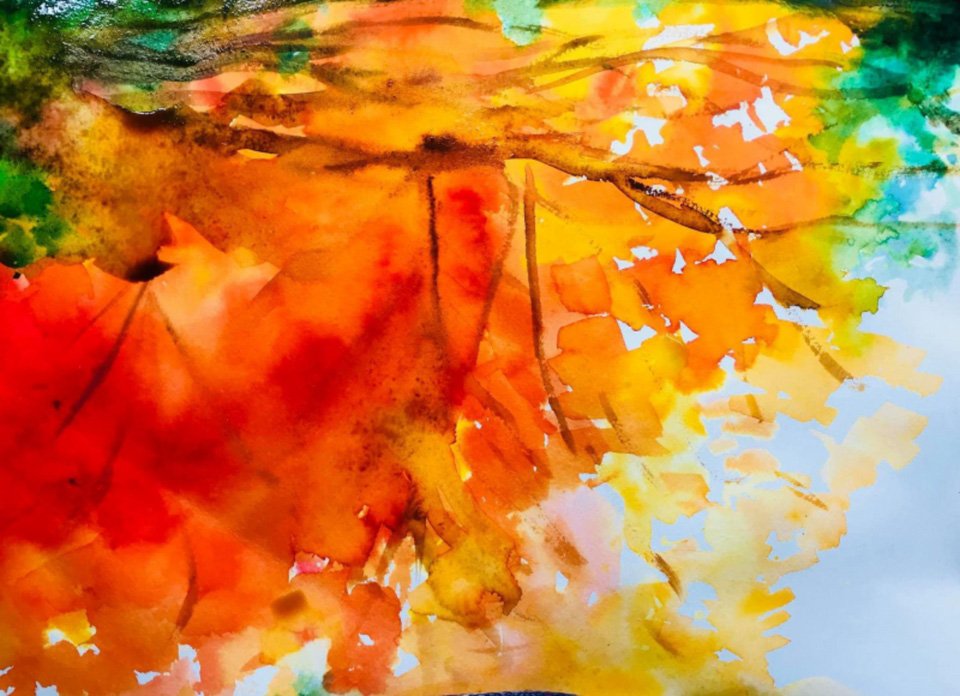 Where the Flame Trees Bloom