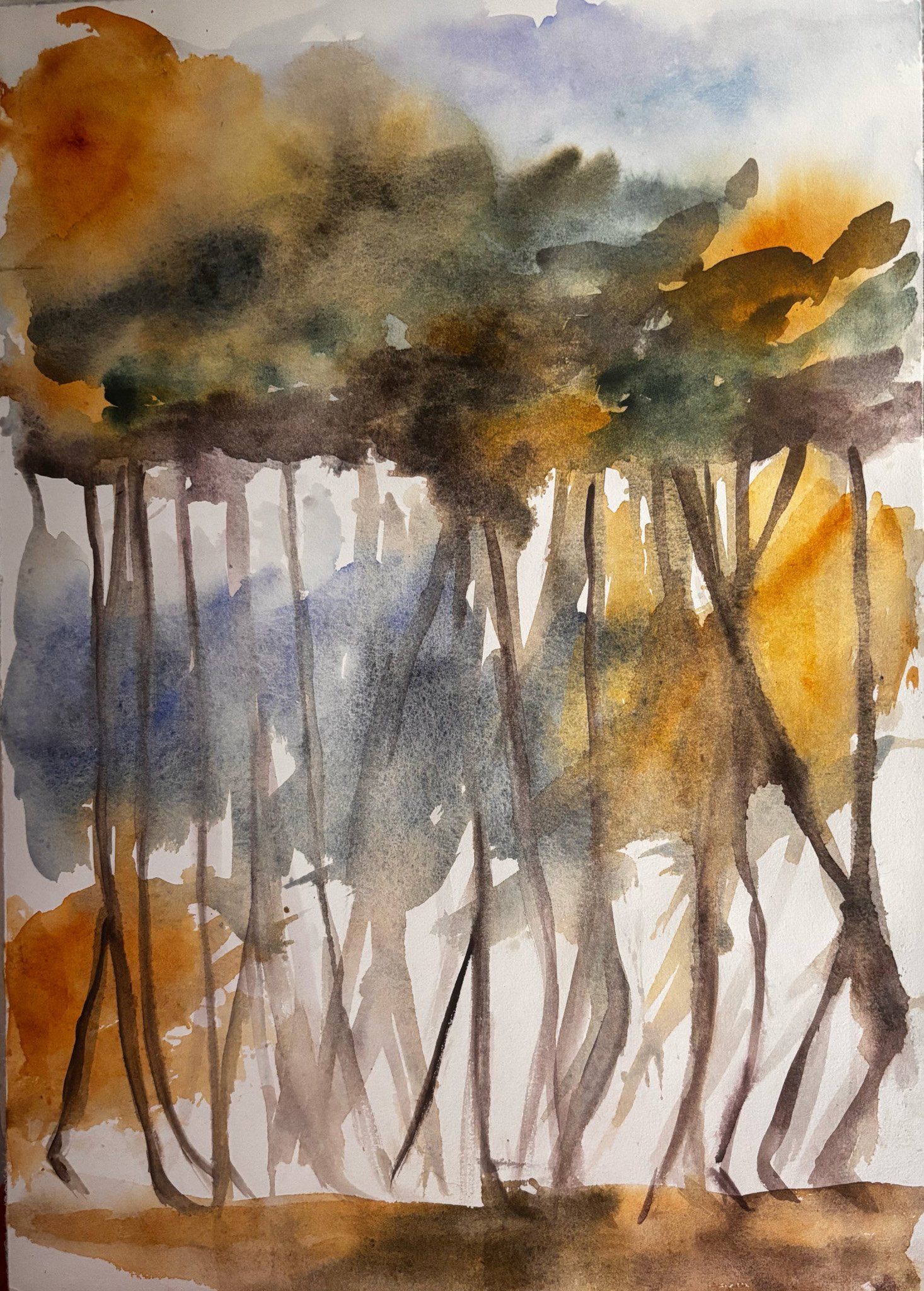 An Old Forest Learnt to Move, 2026