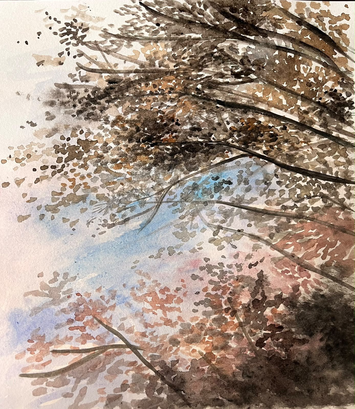 Poetry in the Sky