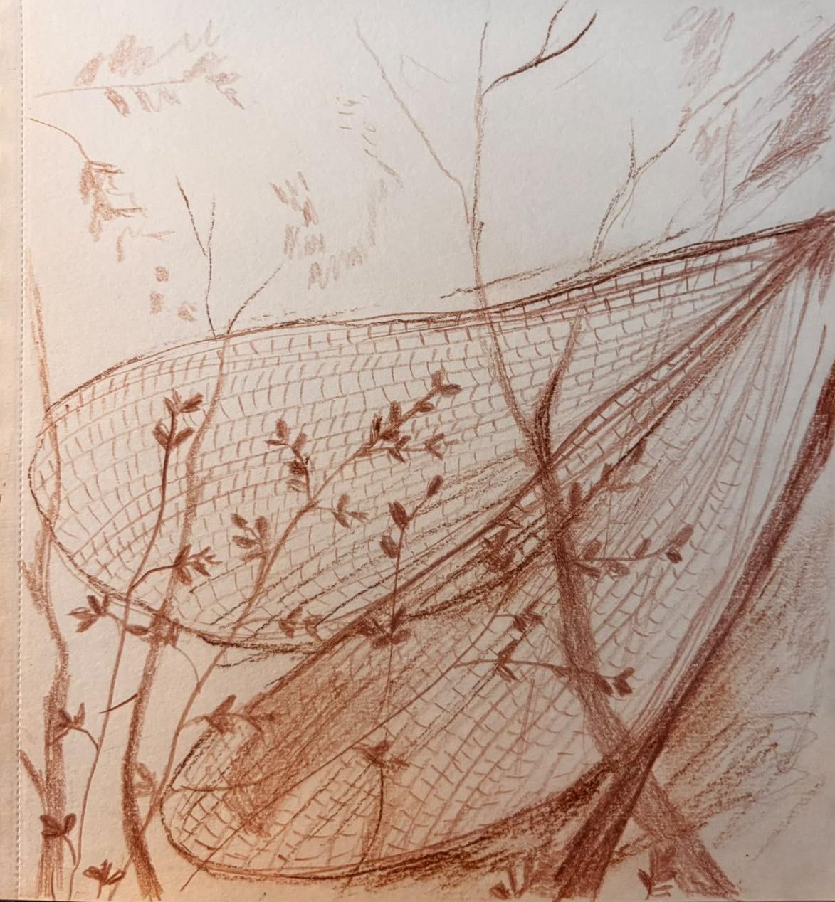 Fragile - 2