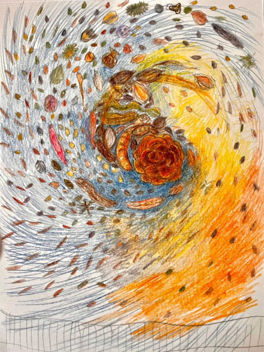 Seed Spiral