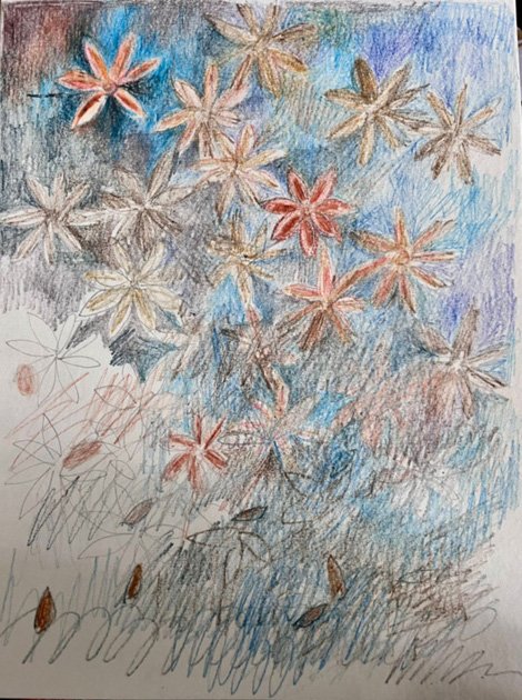 A Constellation of Seeds Dissolving Into Earth and Sky