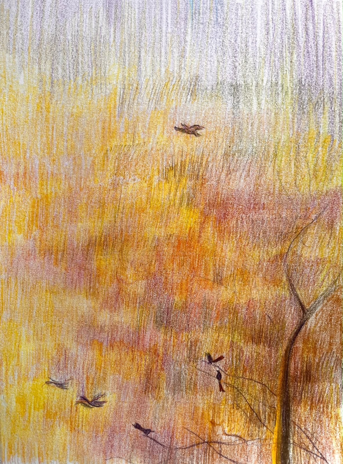 Sketch 1