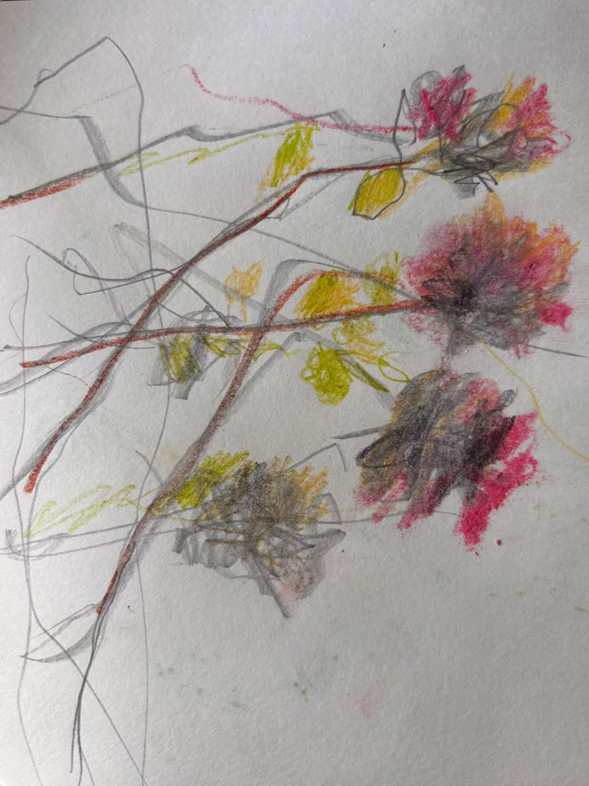 Sketch 15