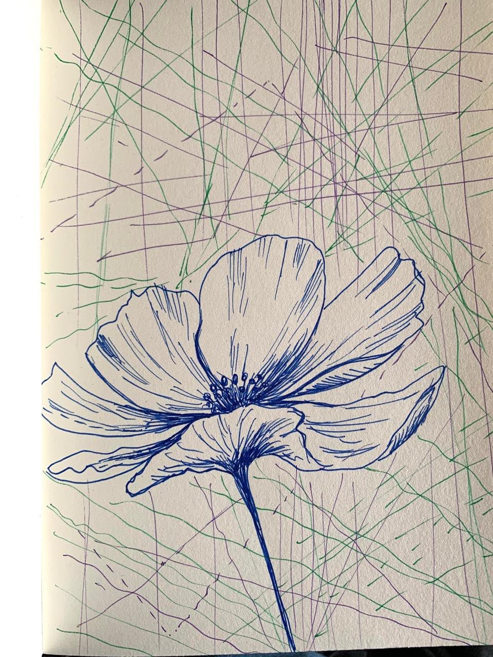 Sketch 17