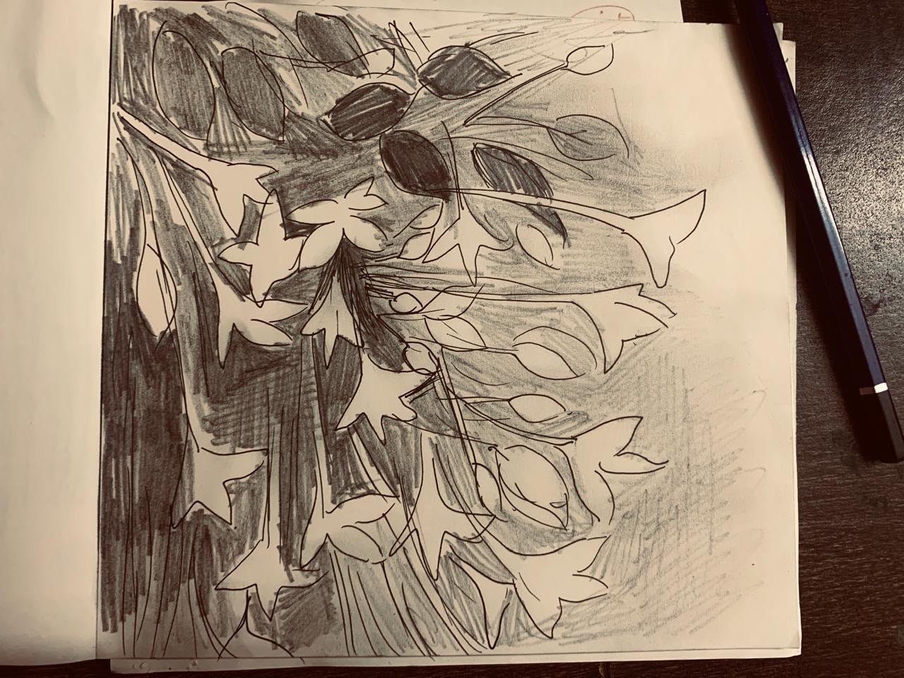 Sketch 21