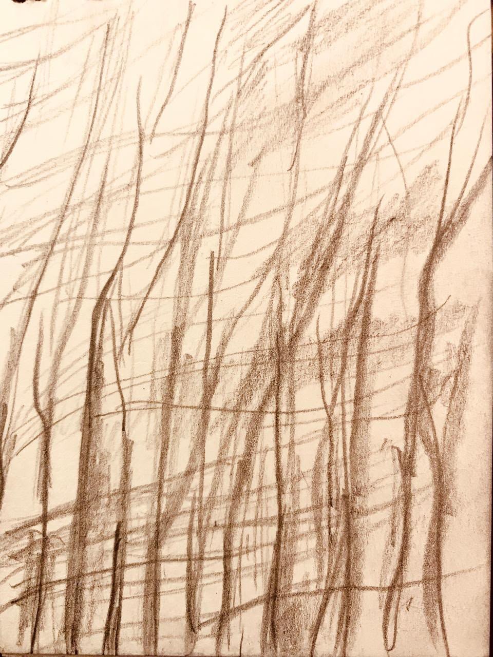 Sketch 30