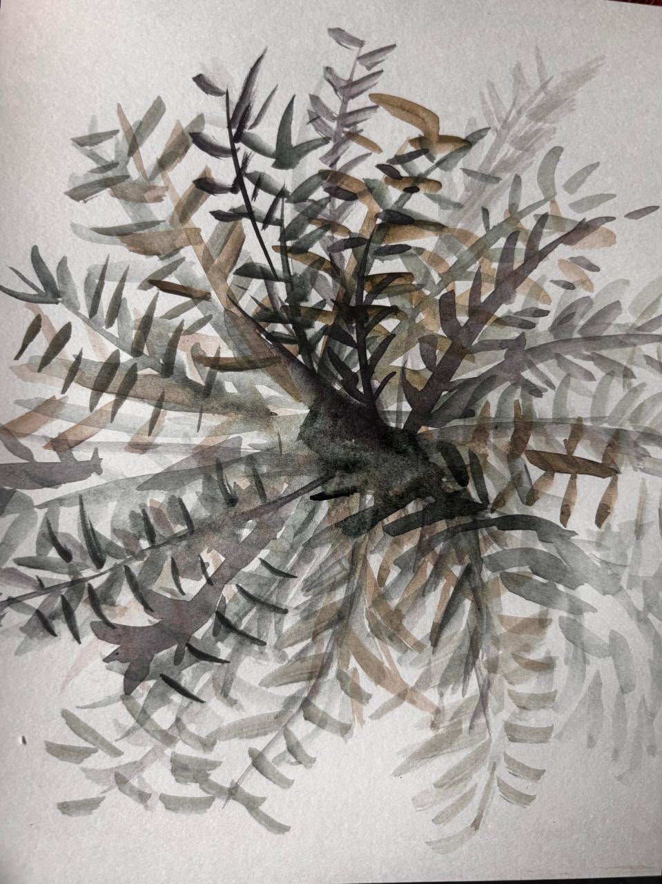 Sketch 37